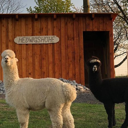 Urlaub Auf Dem Bauernhof Hedwigshoehe Hohnstein Luaran gambar