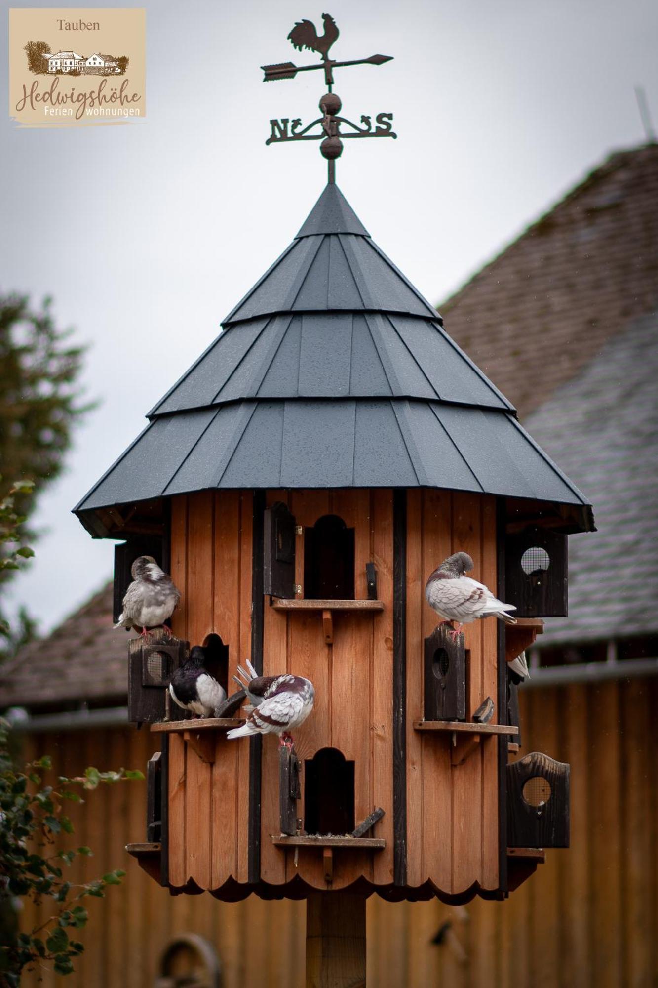 Urlaub Auf Dem Bauernhof Hedwigshoehe Hohnstein Luaran gambar